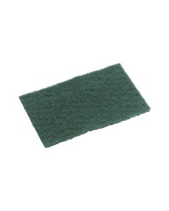 Scourer - Nylon Standard Grade Green 15cm x 10cm