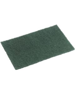 Scourer - Nylon Standard Grade Green 23cm x 15cm