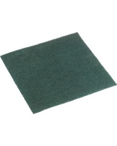 Scourer - Nylon General Purpose Green 30cm x 30cm